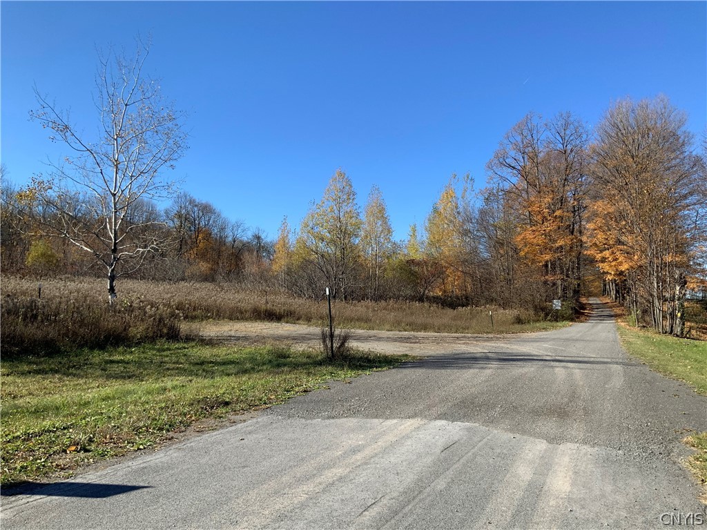 0 Diehl Road Mohawk, NY 13407 - Photo 48 of 49