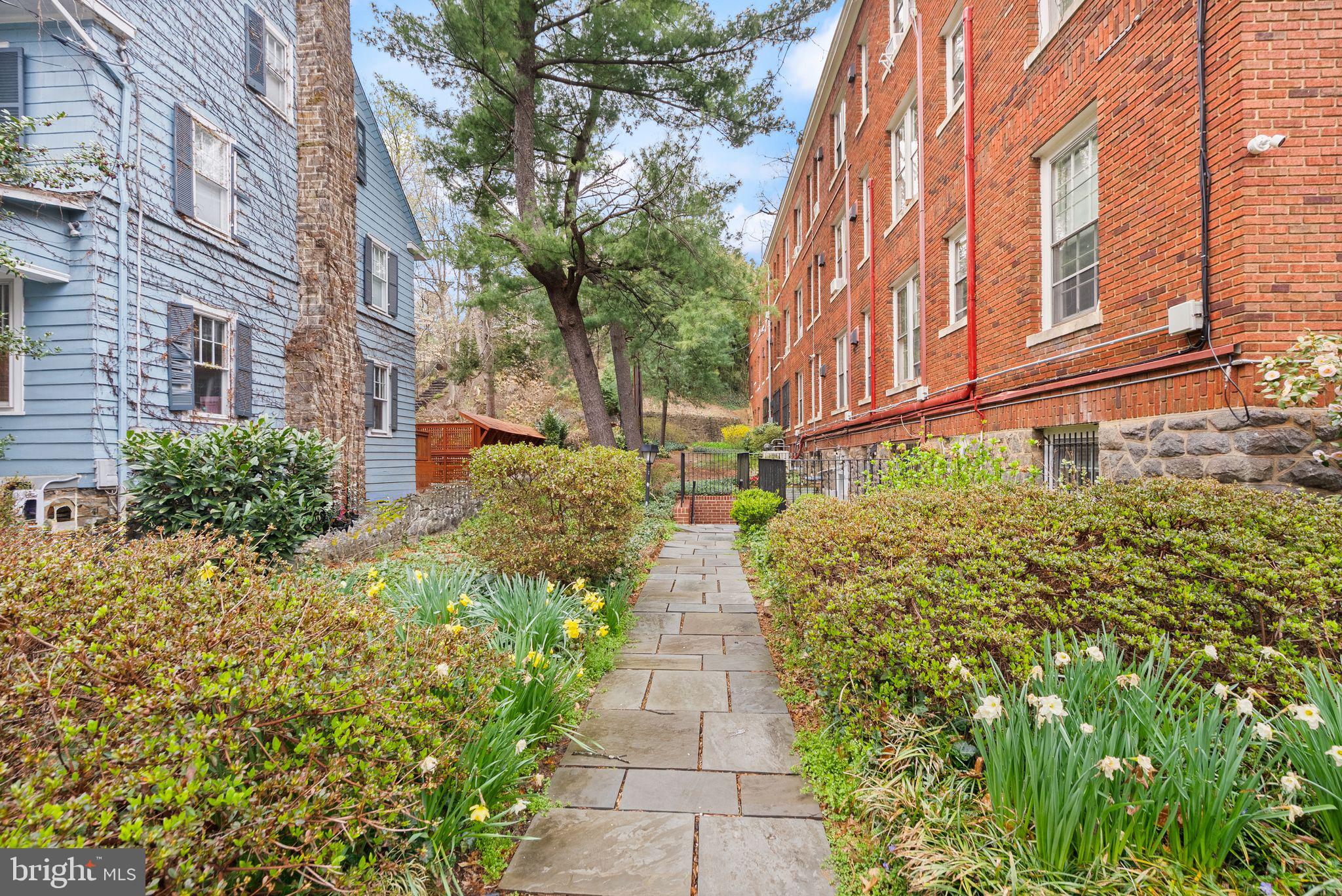 3039 Macomb Street Northwest, Unit 2A Washington, DC 20008 - Photo 24 of 30 a view of a pathway with house on both side