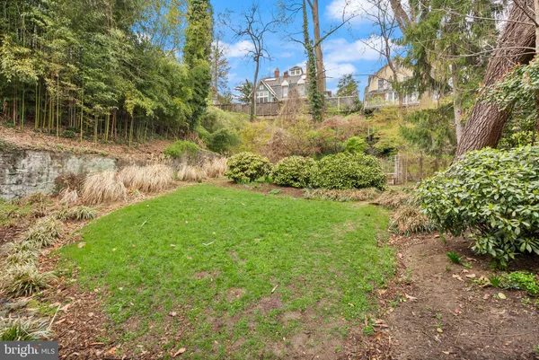 a view of yard with green space