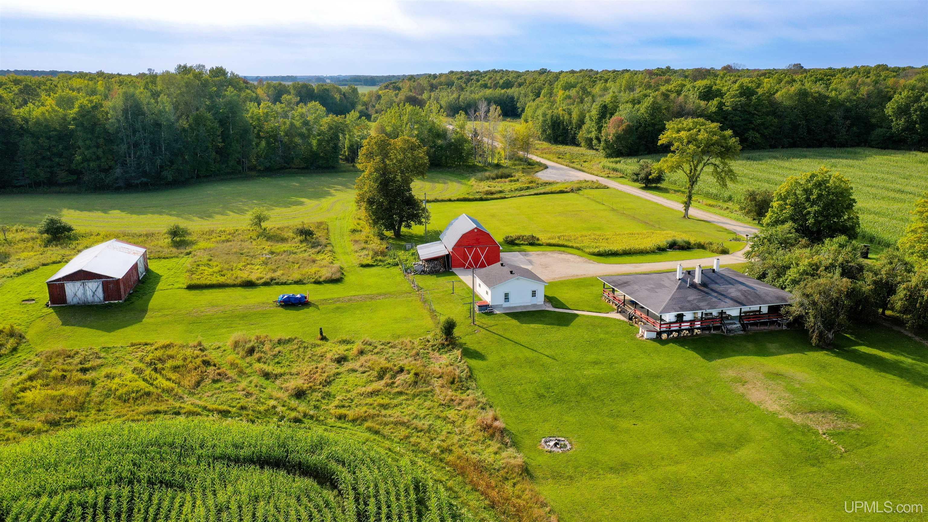 W13371 Feigel Road Engadine, MI 49827 - Photo 3 of 49