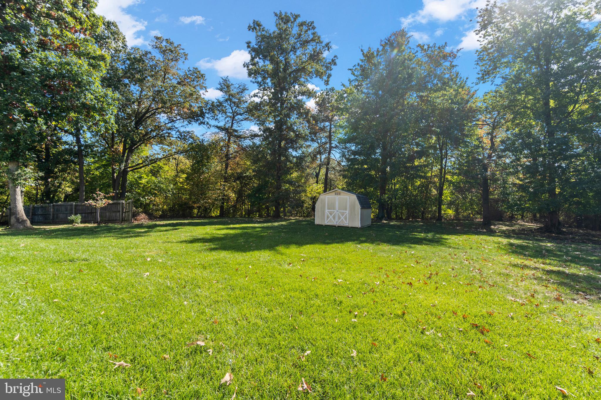 6435 Forest Road Cheverly, MD 20785 - Photo 31 of 46 Your own private oasis