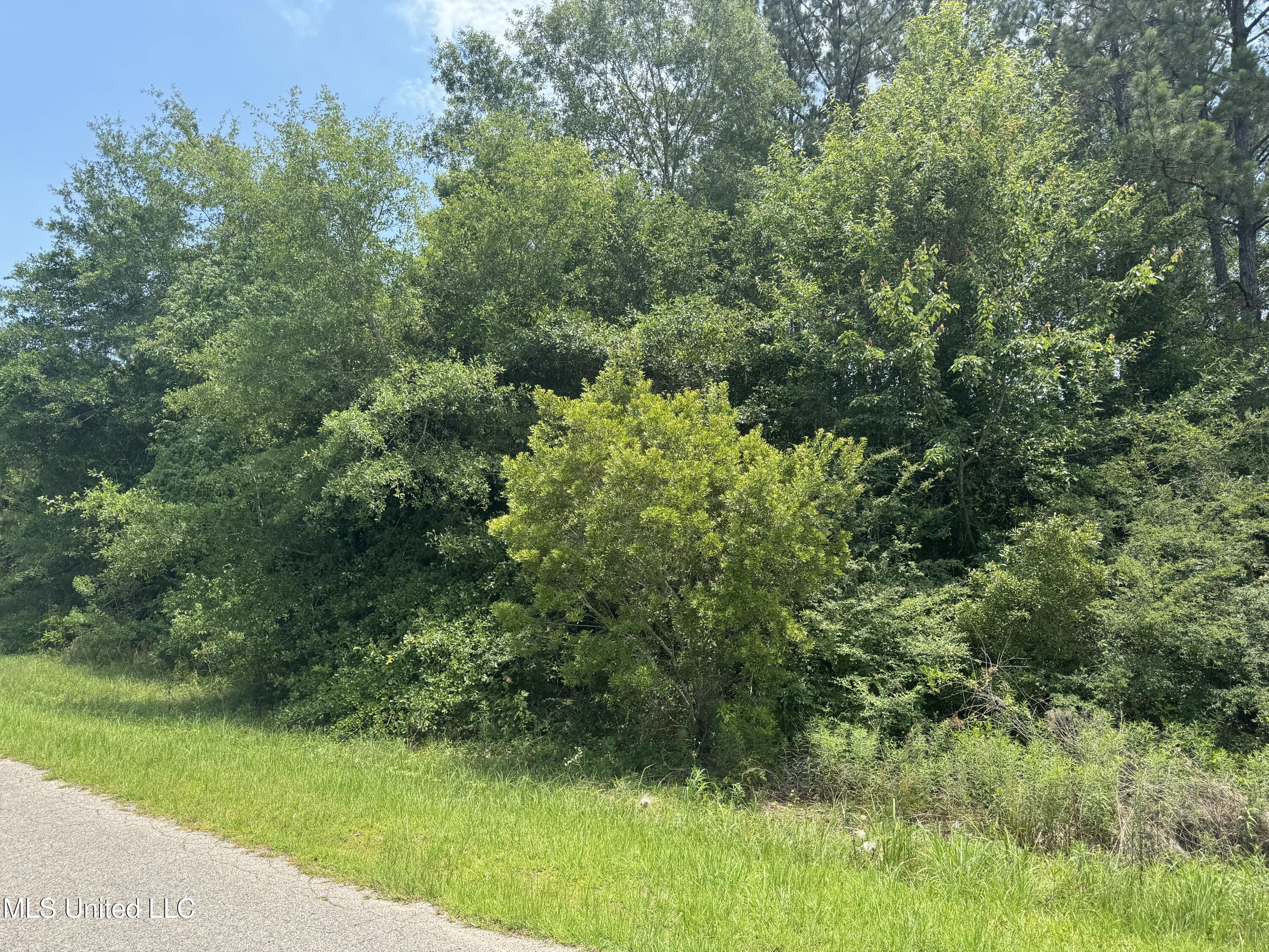 Bentwood Drive Saucier, MS 39574 - Photo 2 of 3 IMG_4062