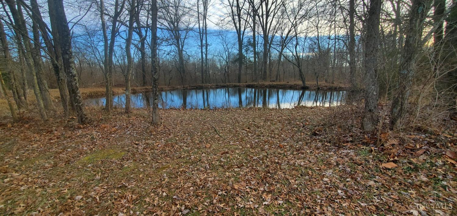 1202 Yankeetown Road Hamersville, OH 45130 - Photo 7 of 26