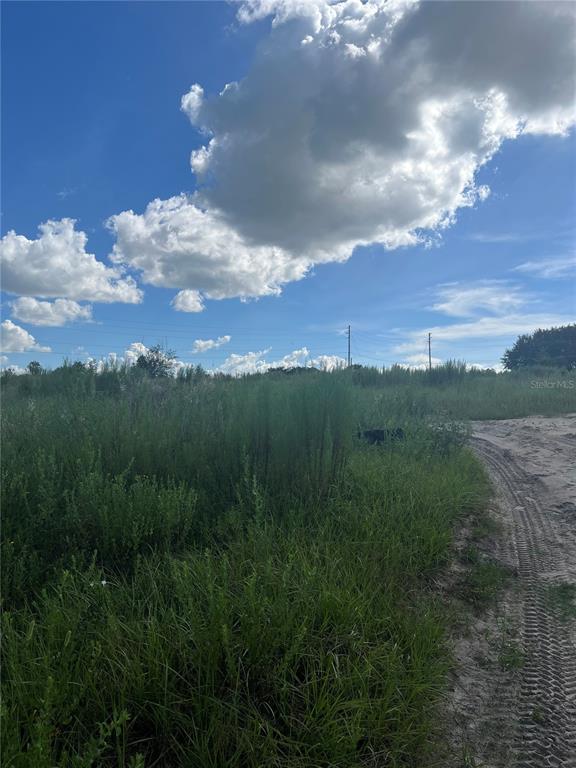 West Kelly Park Road Apopka, FL 32712 - Photo 3 of 5 a view of a city with lush green forest