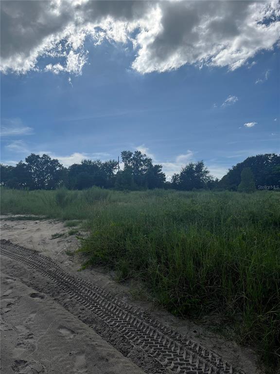 West Kelly Park Road Apopka, FL 32712 - Photo 4 of 5 a view of a city with lush green forest
