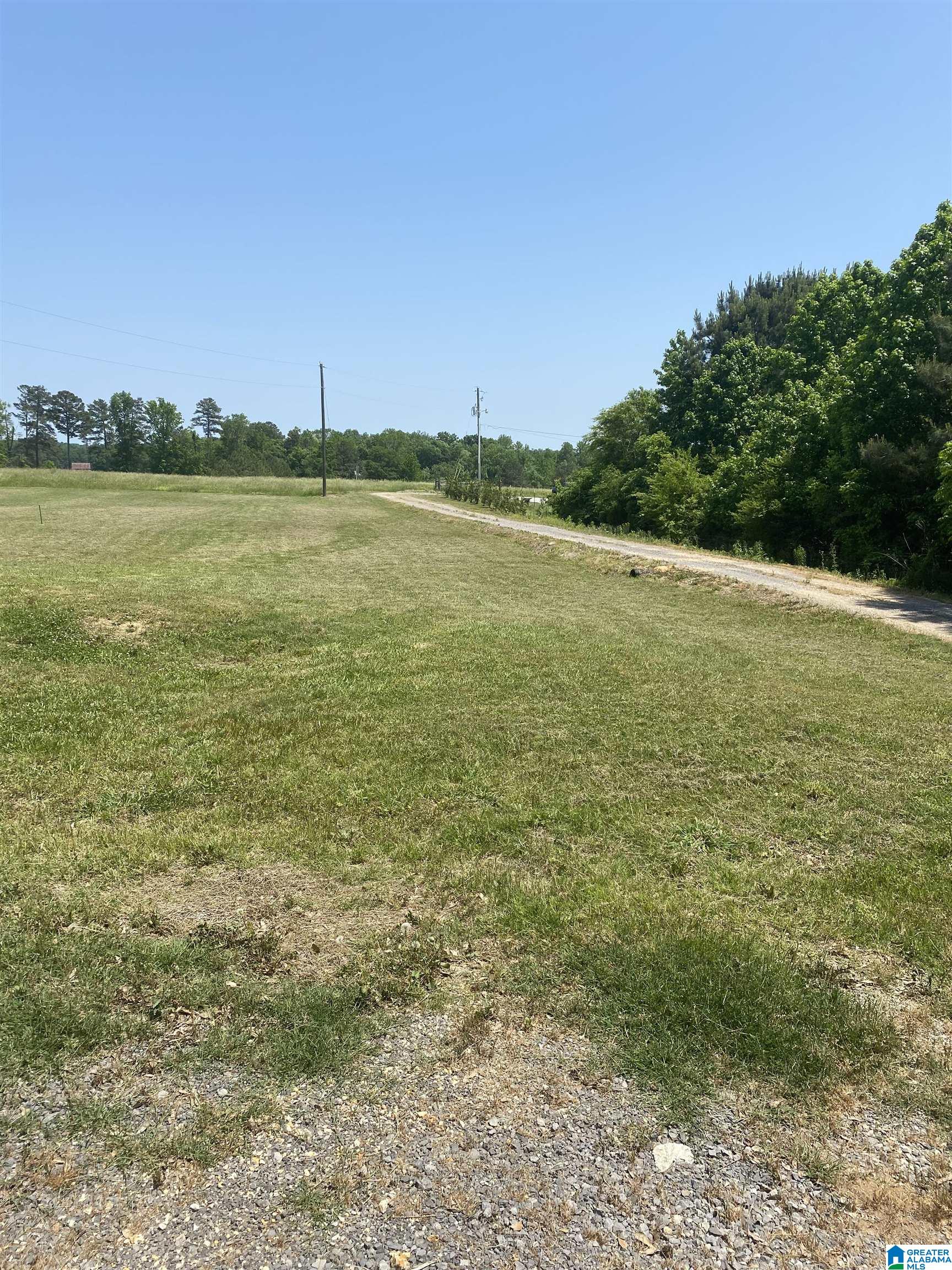7628 Cox Gap Road, Unit 1 PARCEL Boaz, AL 35956 - Photo 11 of 12