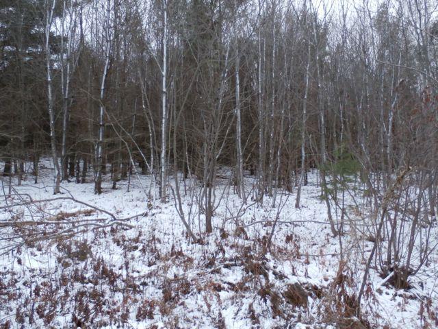 1 Lake Road Wilton, ME 04294 - Photo 14 of 25 PC090756