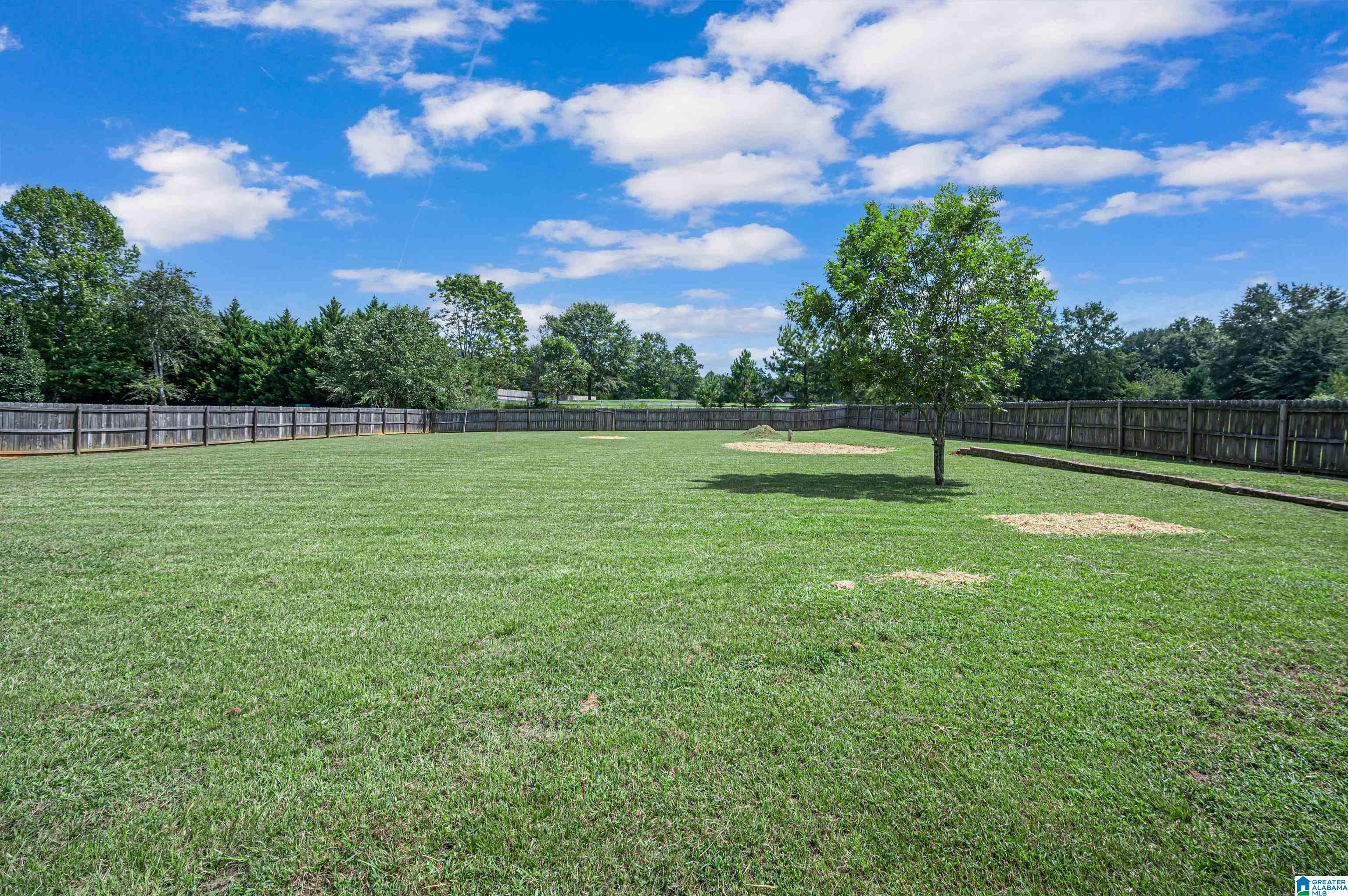 525 Legacy Drive Springville, AL 35146 - Photo 45 of 50