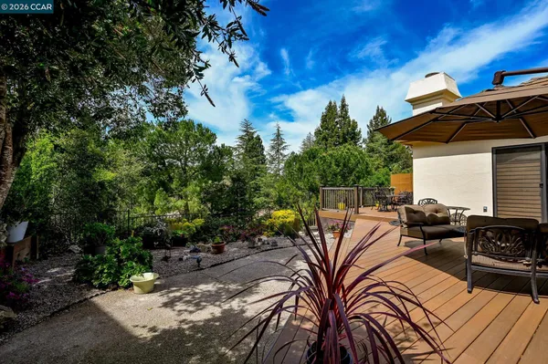 a view of a large garden