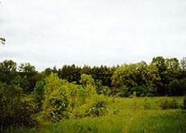 Lt7 North Lt7 Point West Bend, WI 53095 - Photo 1 of 1