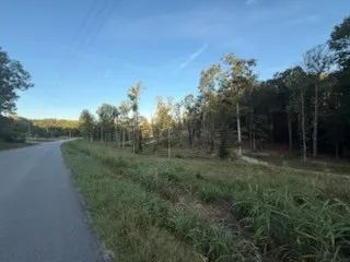 a view of a field of grass and trees
