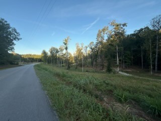 0 Jones Creek Road White Bluff, TN 37187 - Photo 12 of 29 a view of a field of grass and trees