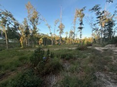 0 Jones Creek Road White Bluff, TN 37187 - Photo 17 of 29 a view of a city with lush green forest