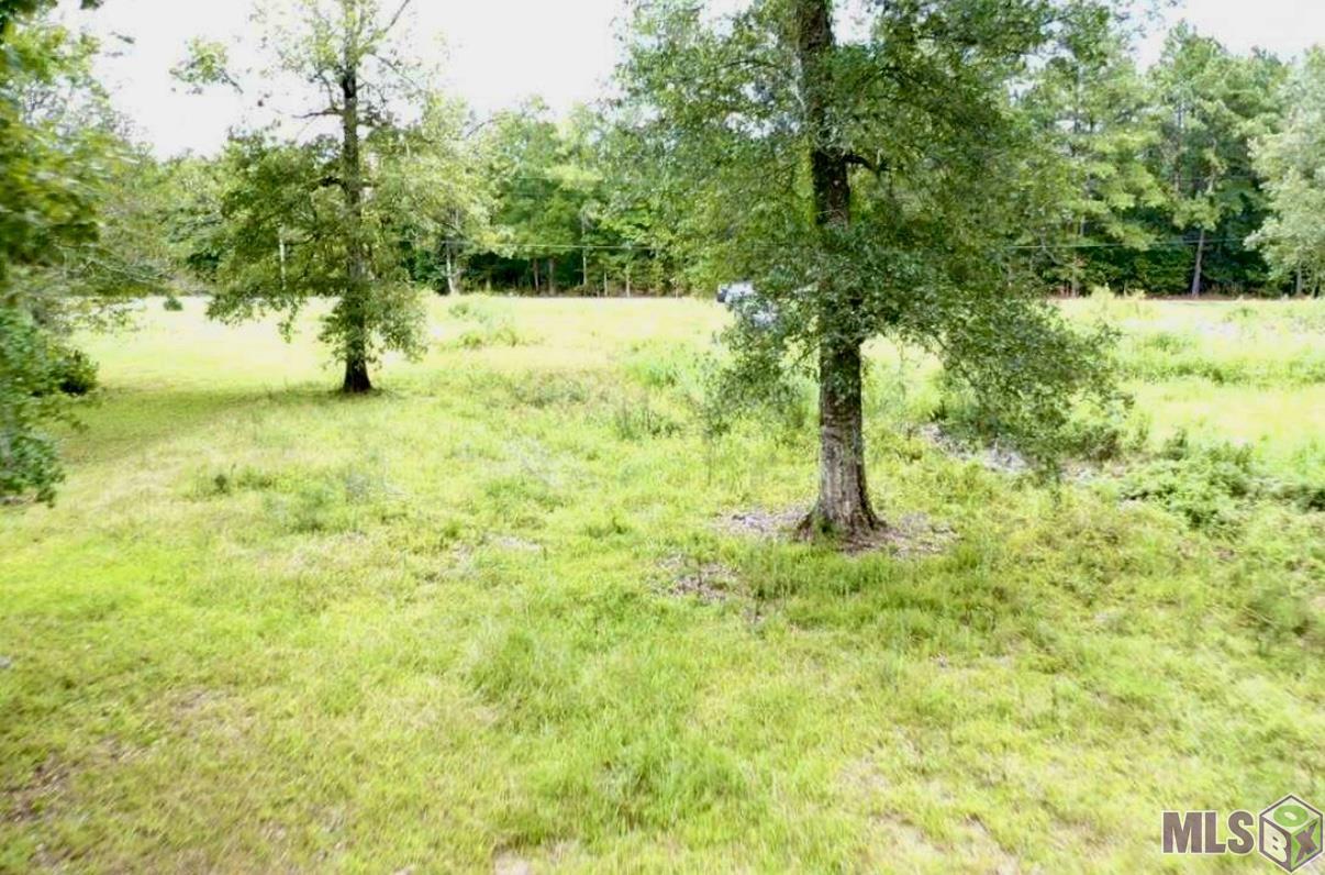 31287 Norred Road Holden, LA 70744 - Photo 5 of 12 Gallery Image 5