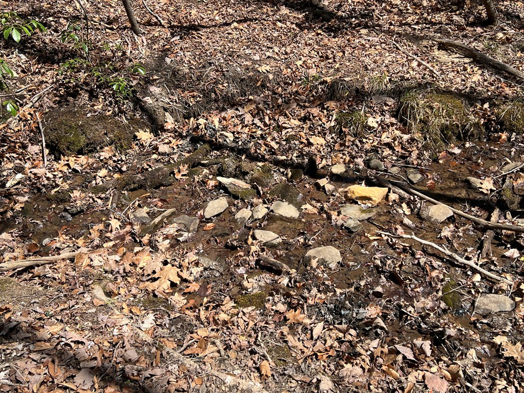Lots Wolf Mountain Road Murphy, NC 28906 - Photo 22 of 27