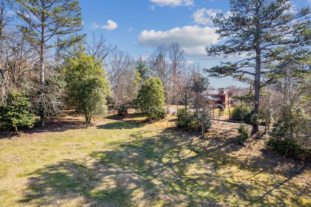 855 Lickskillet Road Epworth, GA 30541 - Photo 35 of 35 a view of a yard with large trees