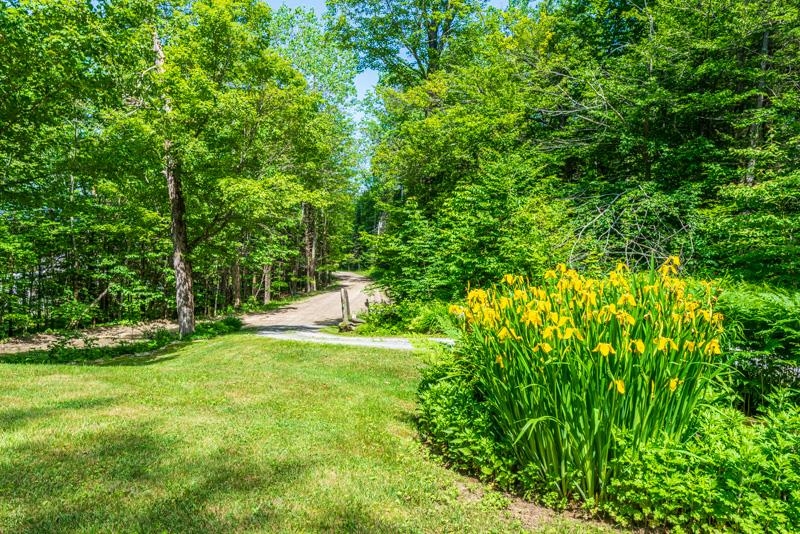 55 Uphill Road Landgrove, VT 05148 - Photo 41 of 41