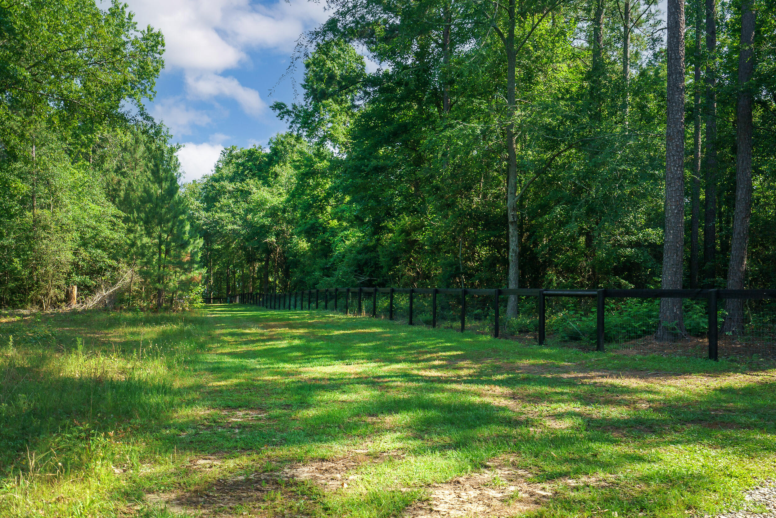 8400 Emerson Road Aiken, SC 29801 - Photo 3 of 75