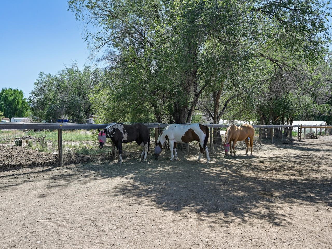 824 24 Road Grand Junction, CO 81505 - Photo 34 of 42