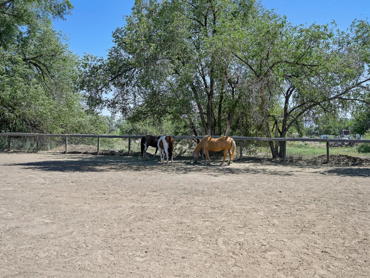 824 24 Road Grand Junction, CO 81505 - Photo 35 of 42