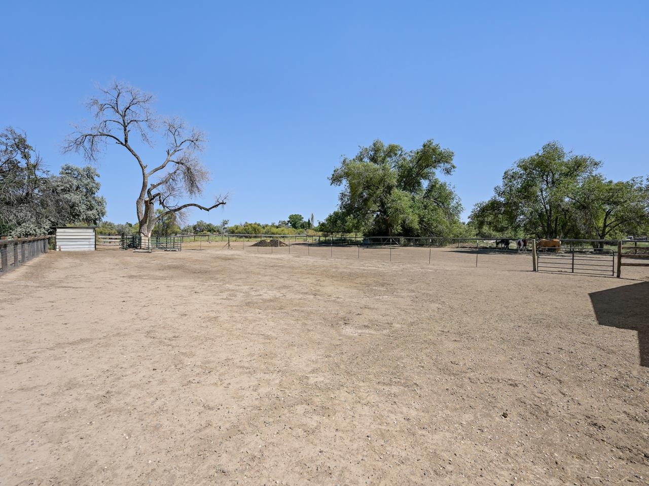 824 24 Road Grand Junction, CO 81505 - Photo 37 of 42