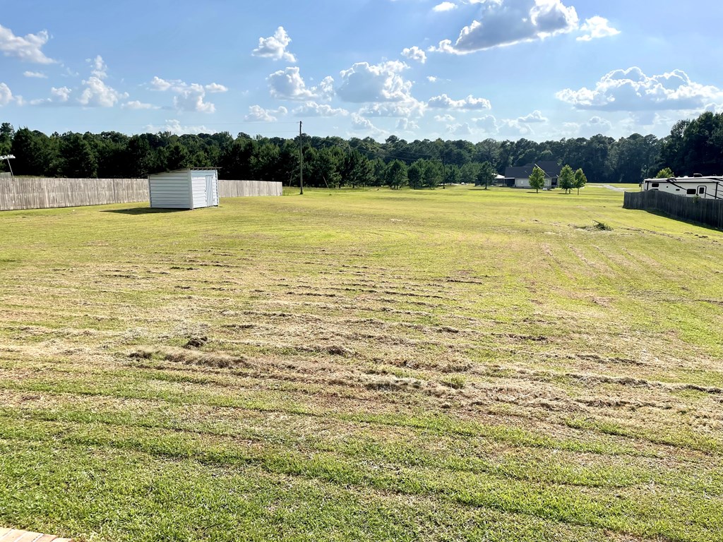 1320 Middleton Road Dothan, AL 36301 - Photo 33 of 39 Look at this View