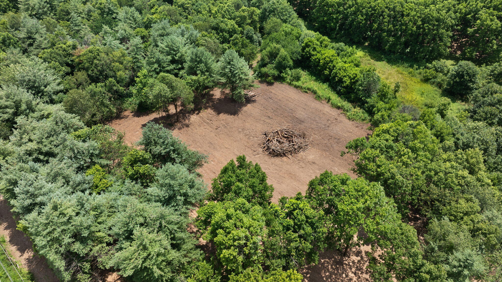5365 Paris Road Georgetown, KY 40324 - Photo 13 of 43 10-web-or-mls-DJI_20250707134636_0225_D