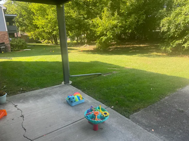 a view of a garden with an outdoor space
