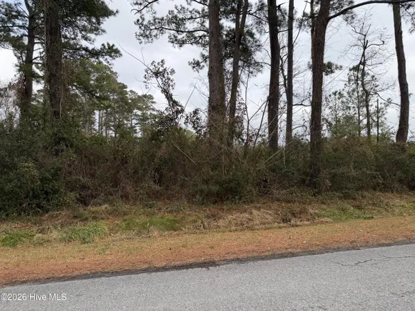 $119,000 | 249 Nelson Neck Road, Sealevel, NC 28577