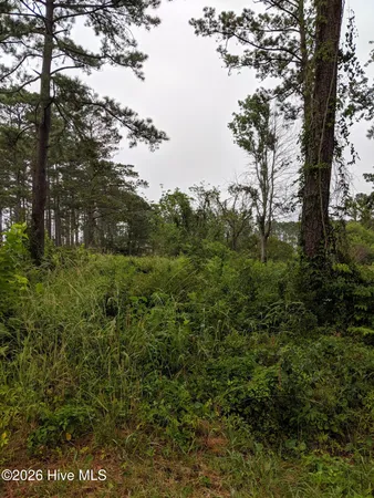 $119,000 | 249 Nelson Neck Road, Sealevel, NC 28577