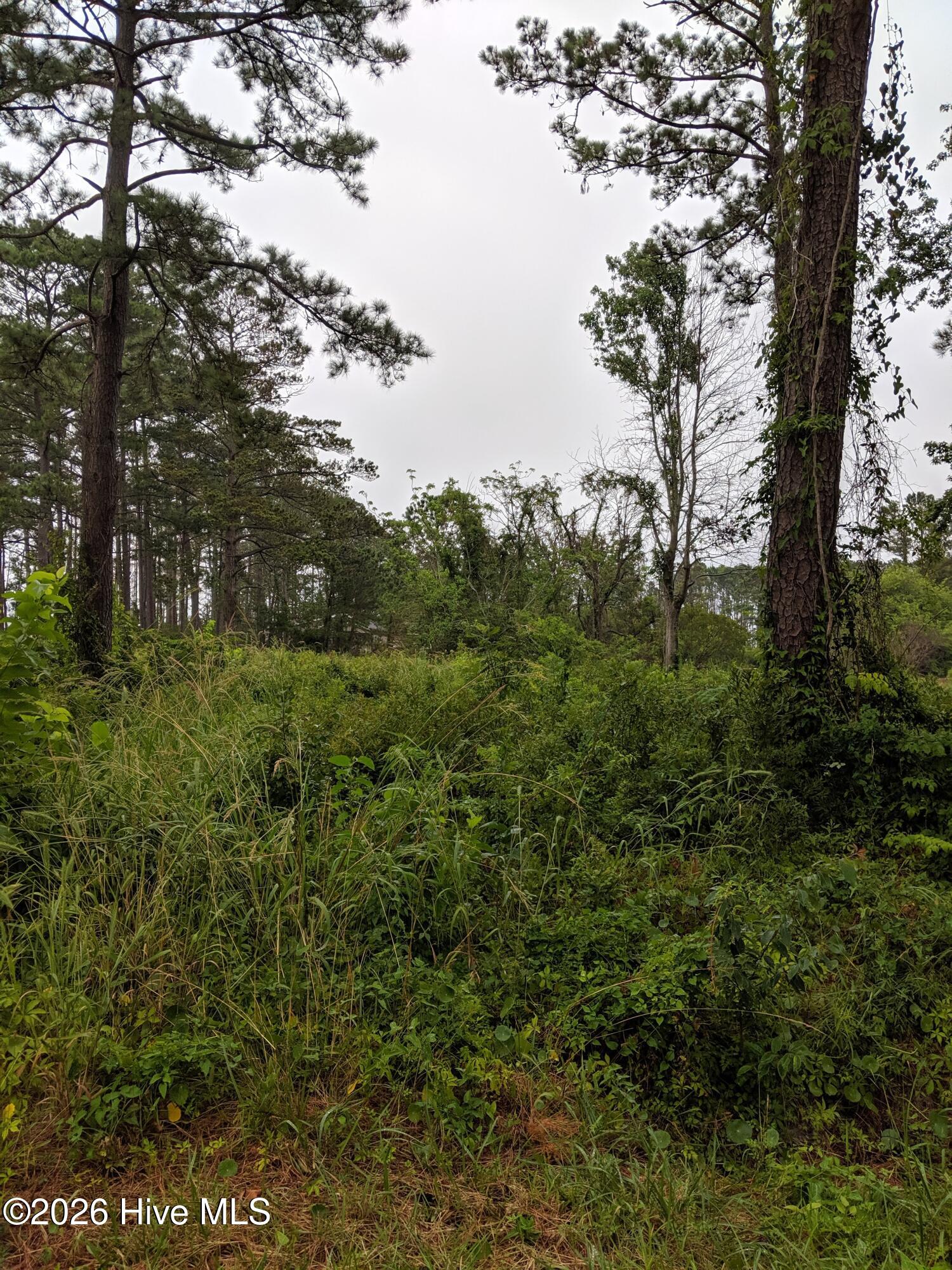 249 Nelson Neck Road Sealevel, NC 28577 - Photo 2 of 8 IMG_20190703_160753