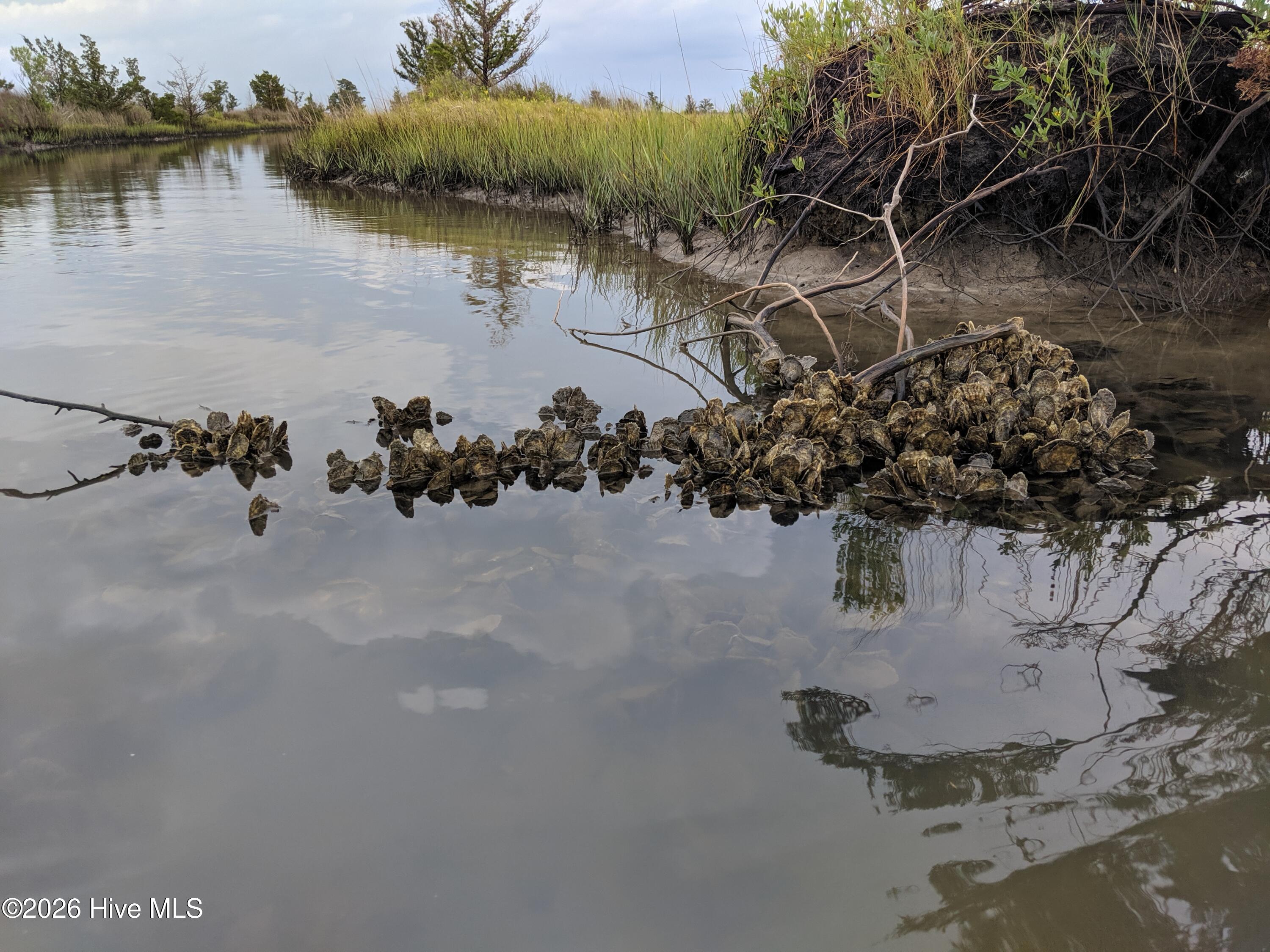 249 Nelson Neck Road Sealevel, NC 28577 - Photo 3 of 8 MVIMG_20190706_074806