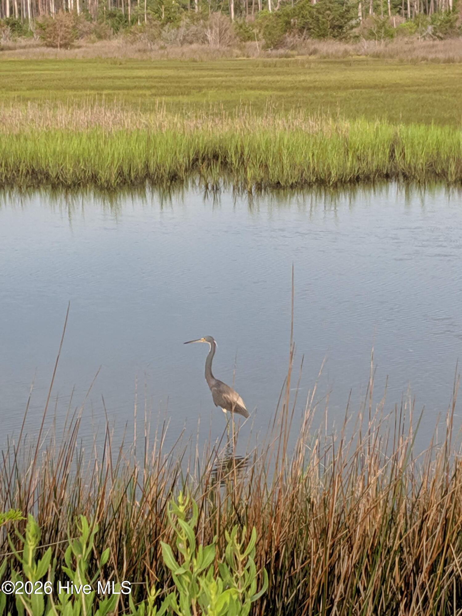 249 Nelson Neck Road Sealevel, NC 28577 - Photo 5 of 8 IMG_20190705_074023