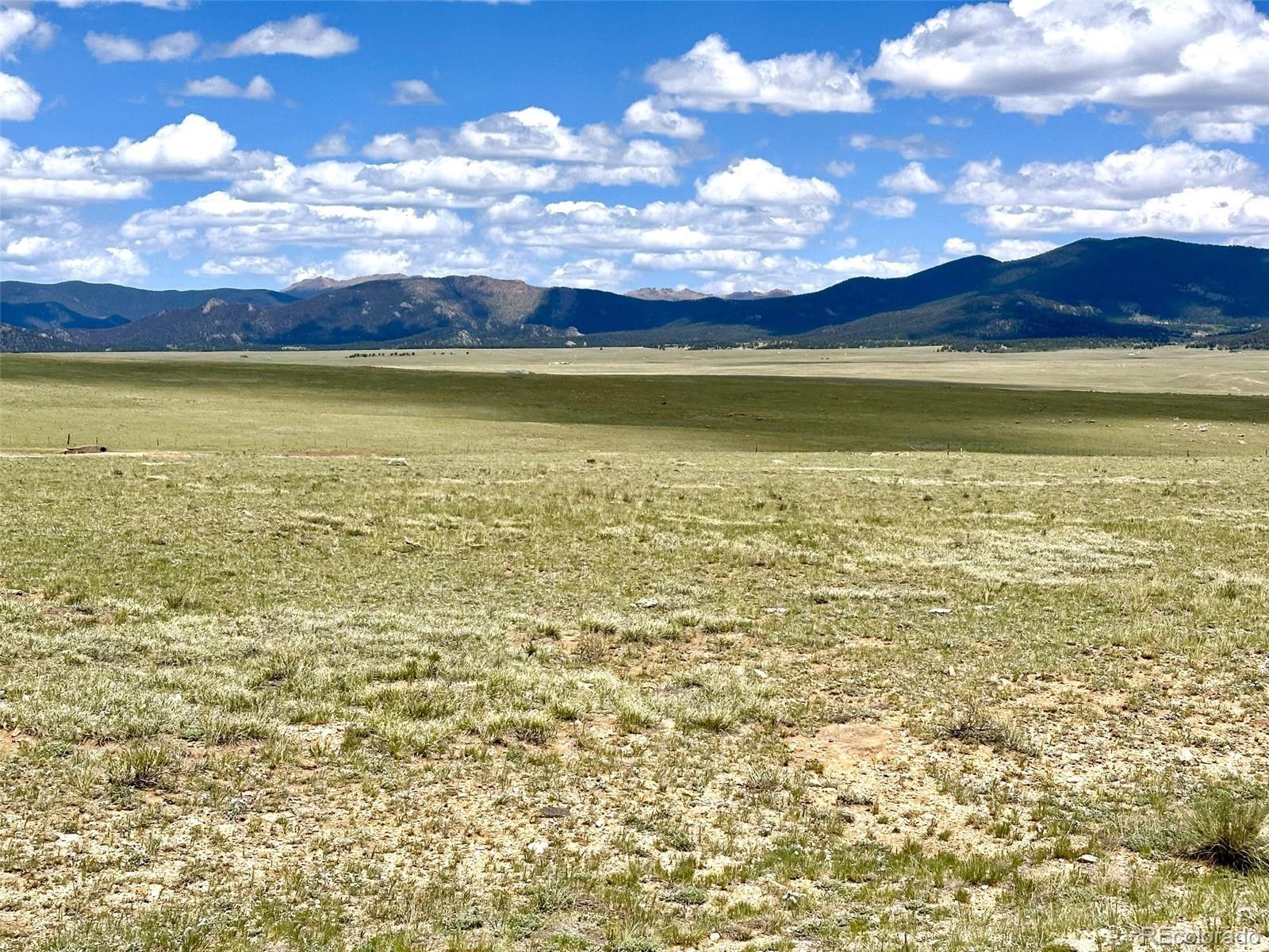 1593 Yellowstone Road Hartsel, CO 80449 - Photo 3 of 16