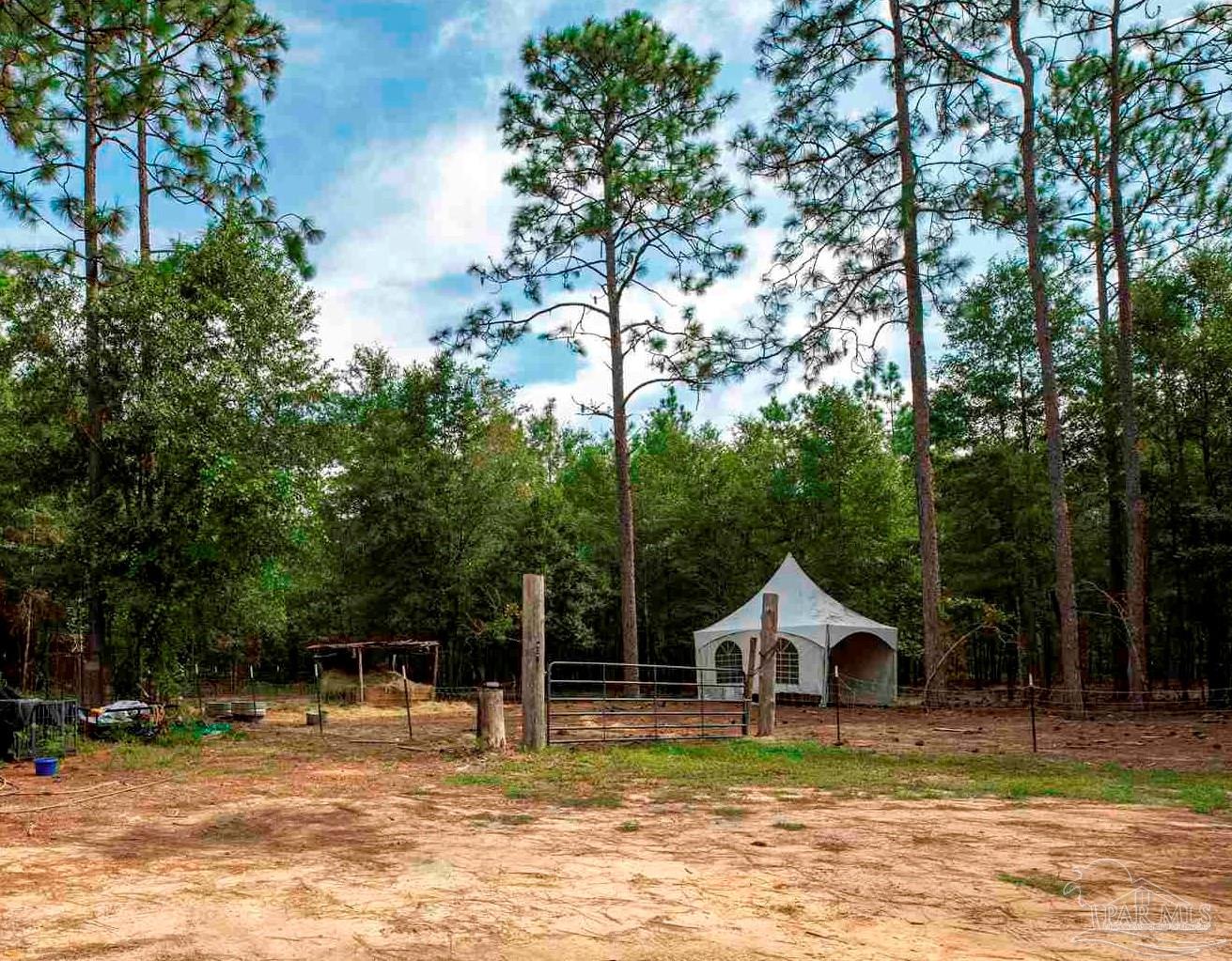 11744 Wildlife Road Harold, FL 32564 - Photo 16 of 30 Gallery Image 16