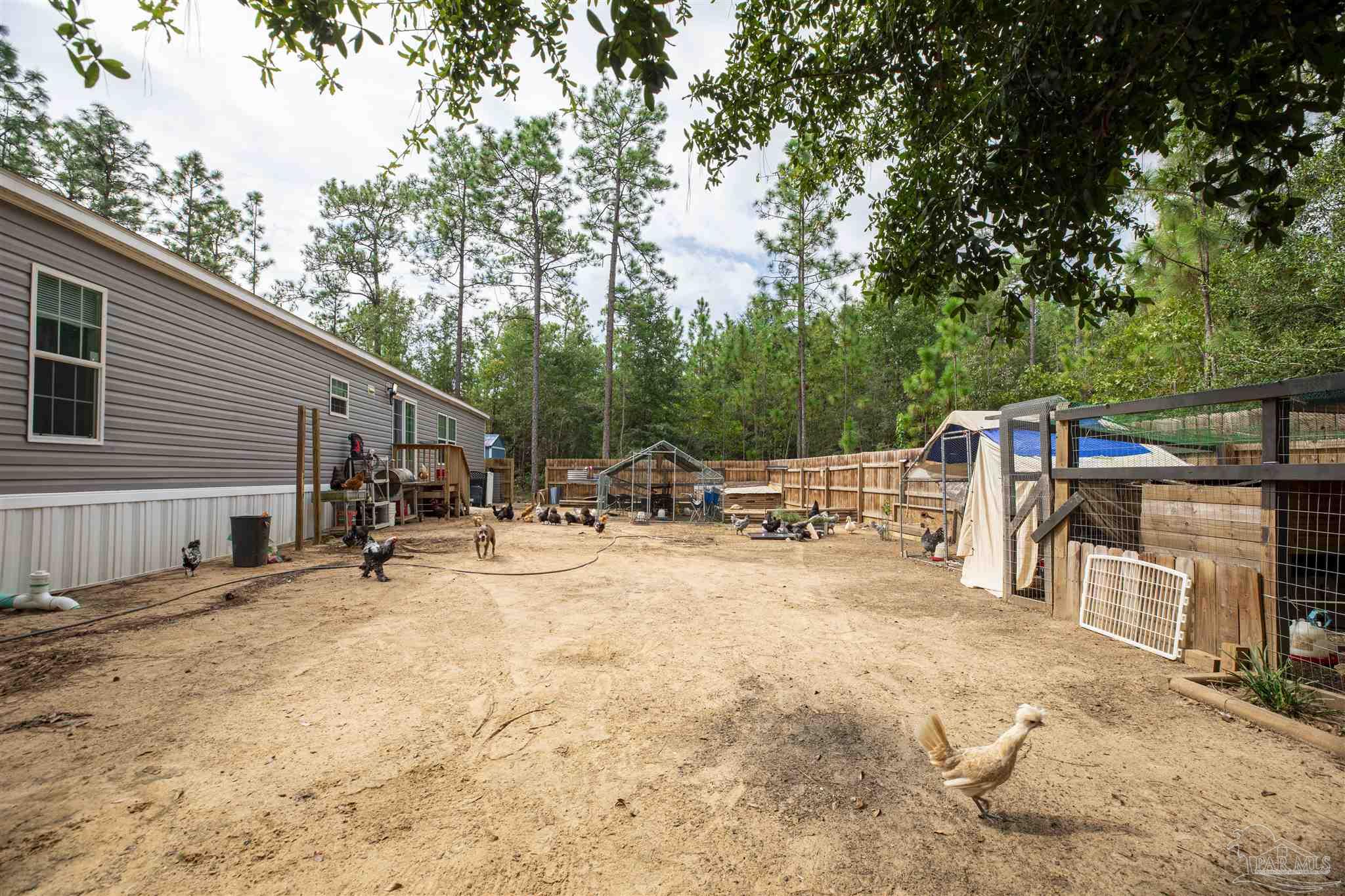 11744 Wildlife Road Harold, FL 32564 - Photo 7 of 30 Gallery Image 7