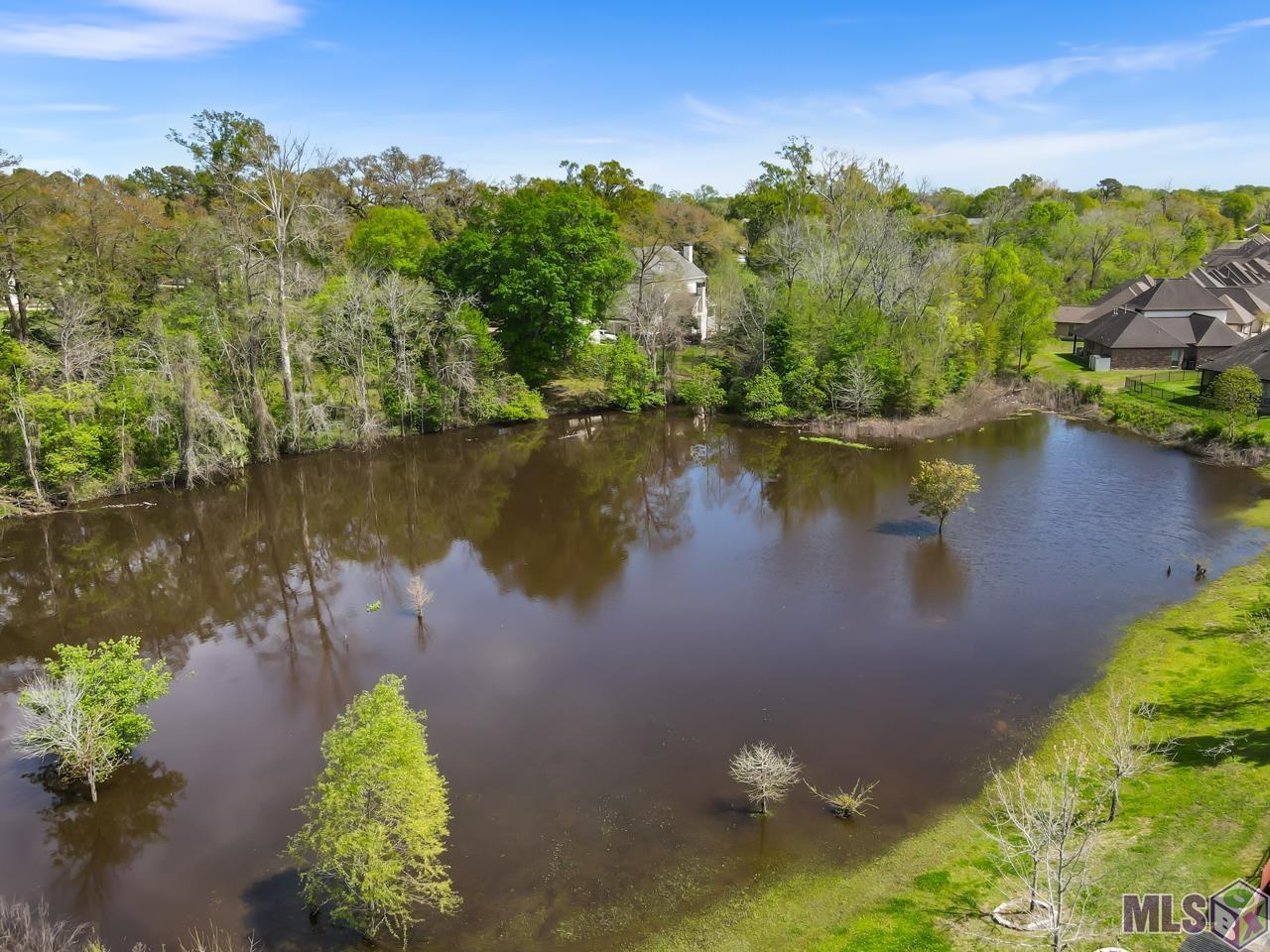 7907 Valencia Court Baton Rouge, LA 70820 - Photo 19 of 20