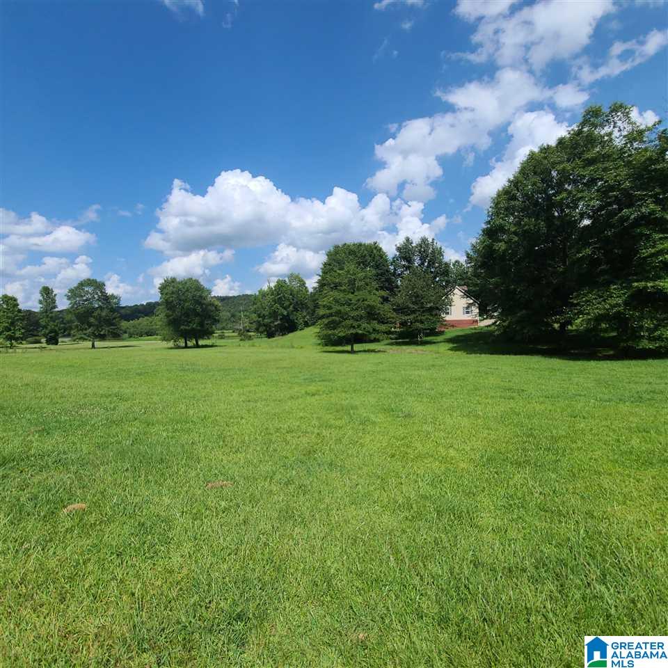 35 Crestwood Way Ragland, AL 35131 - Photo 4 of 47
