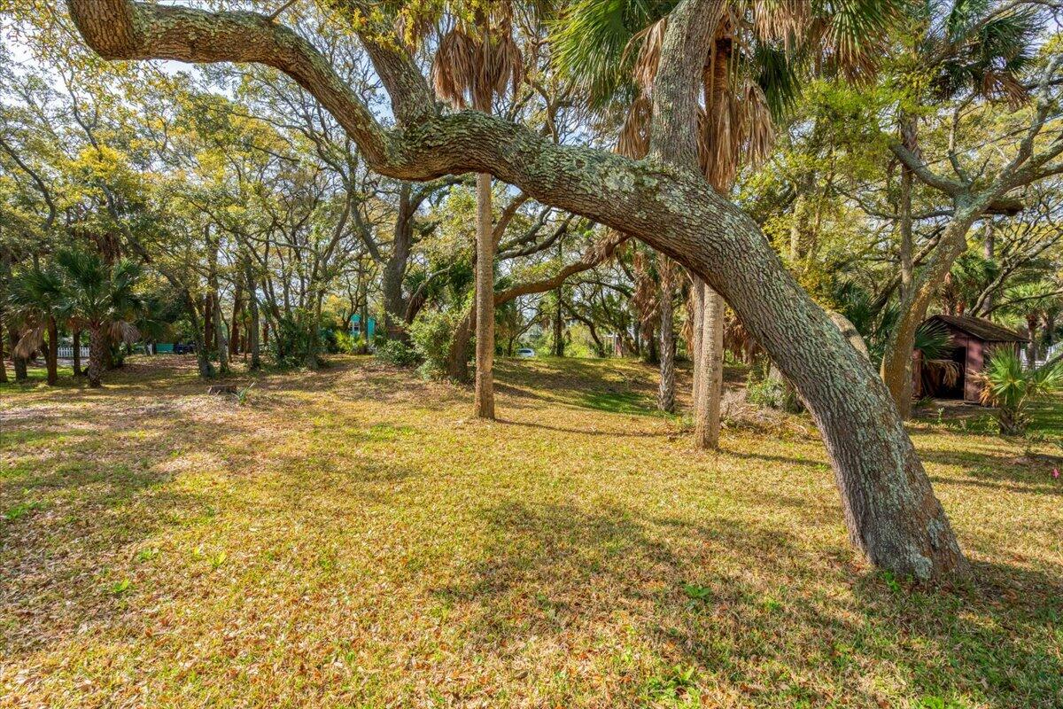 1214 Tabby Drive Folly Beach, SC 29439 - Photo 76 of 88 Grassland
