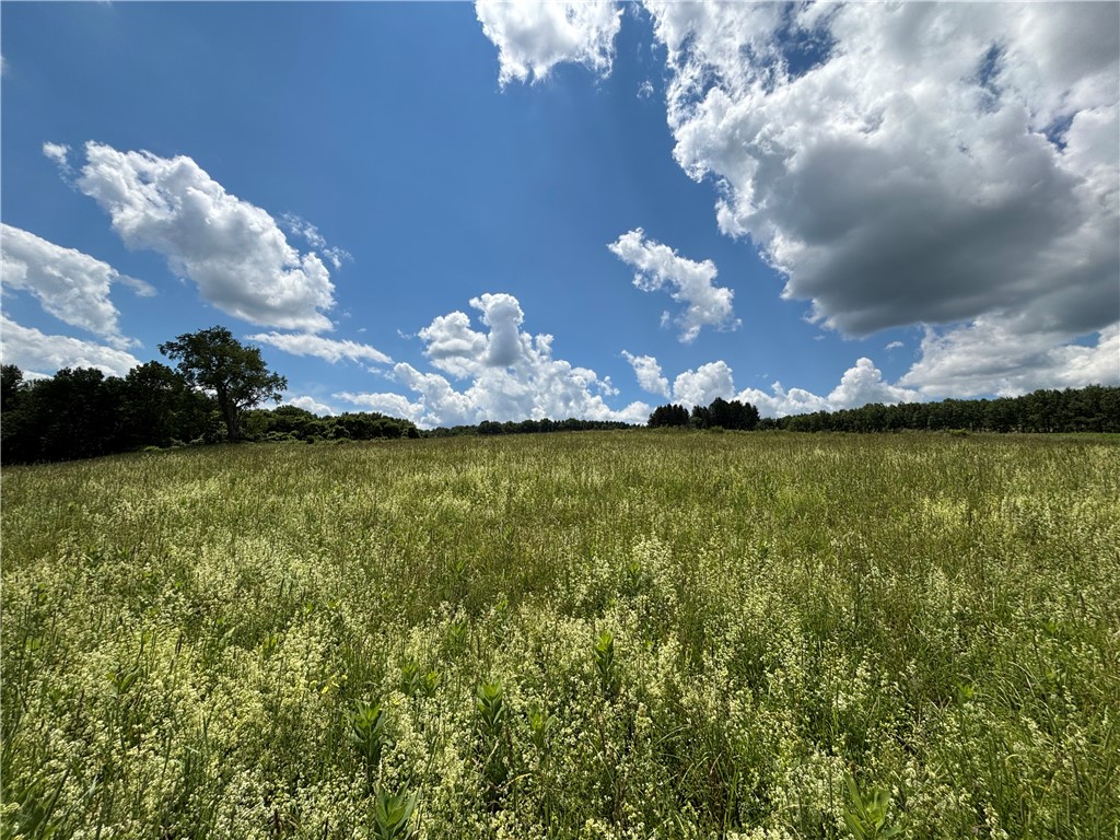 1267 Gorton Road Hamilton, NY 13332 - Photo 23 of 42