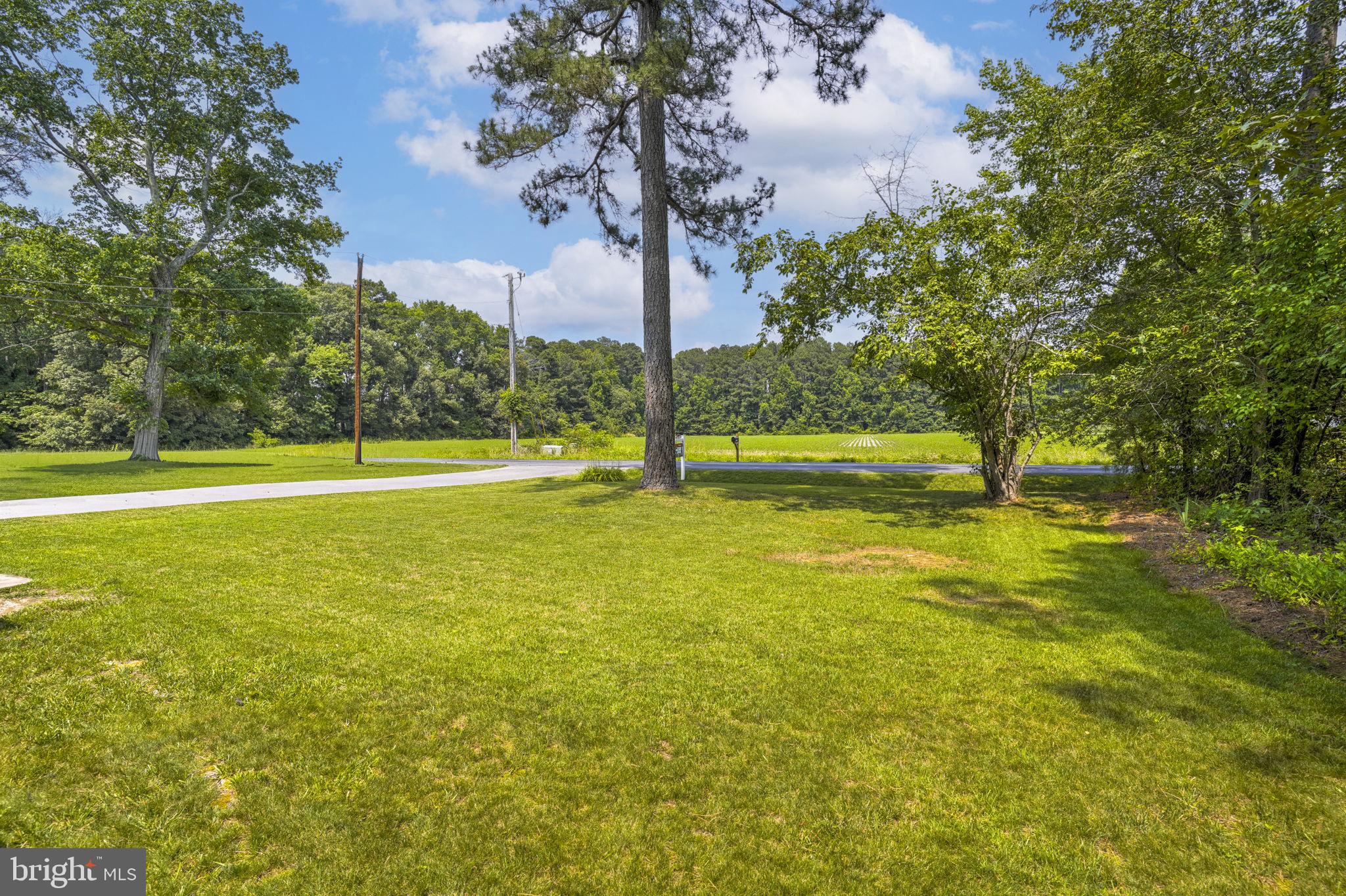 44328 Tall Timbers Road Tall Timbers, MD 20690 - Photo 24 of 25 Gallery Image 24