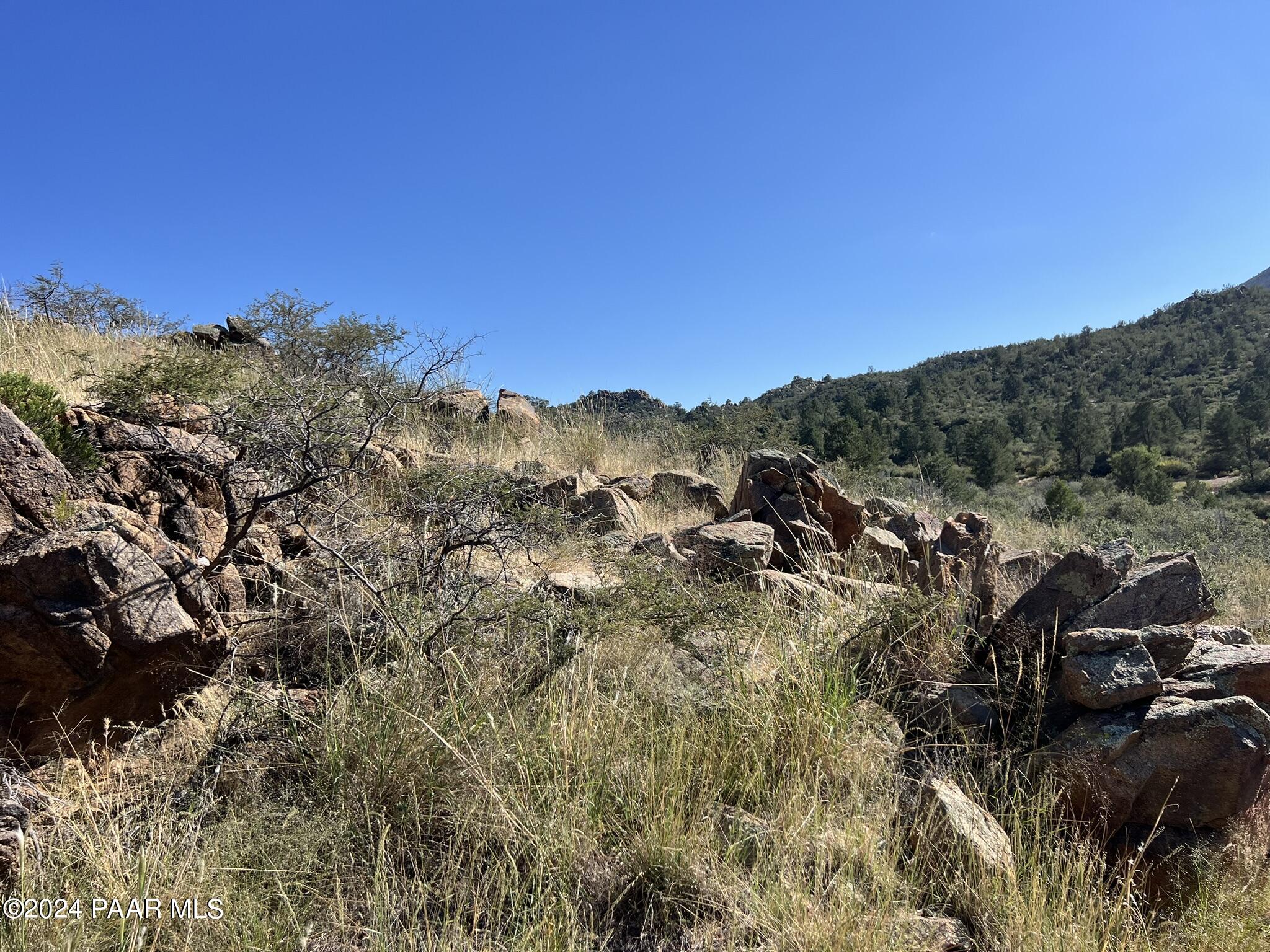 172 B Line Shack Road Skull Valley, AZ 86338 - Photo 16 of 18 IMG_6660
