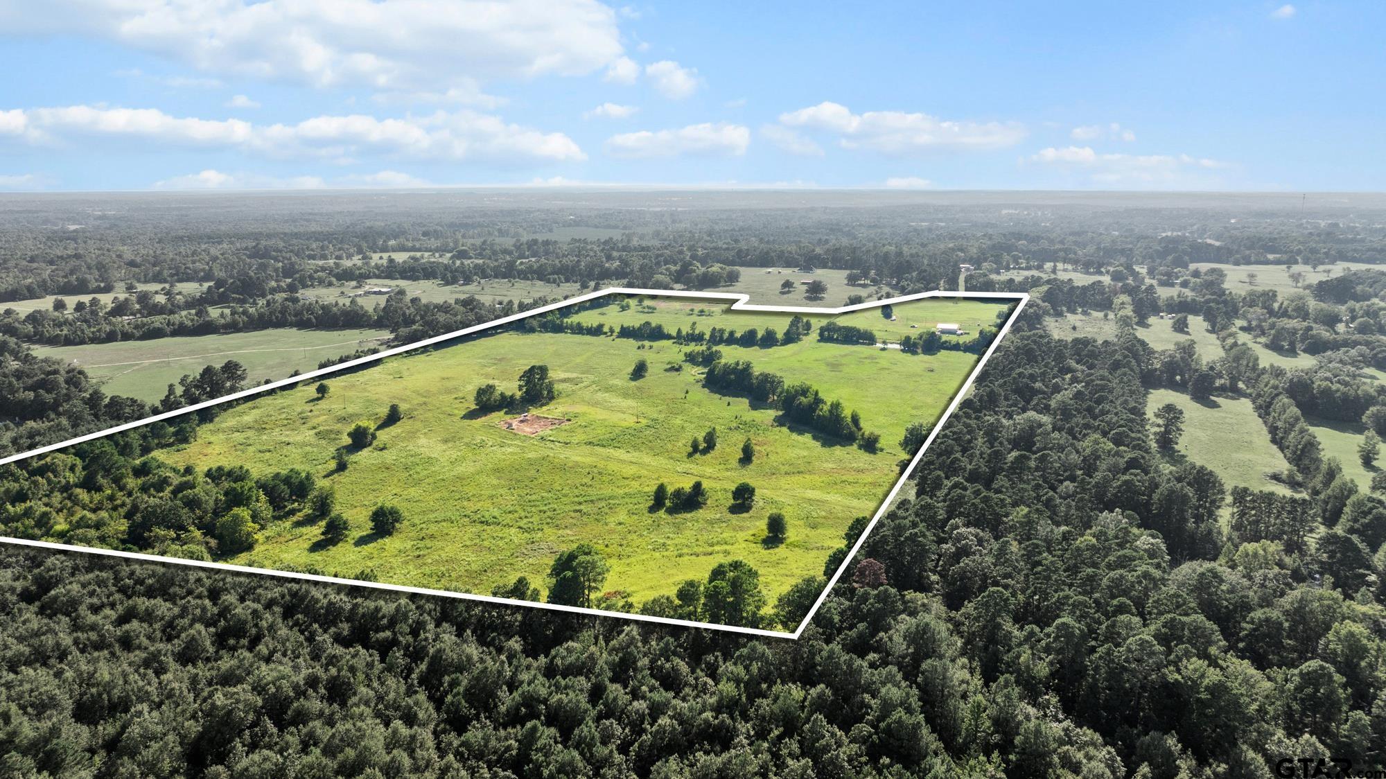 8800 Ginger Road Gilmer, TX 75644 - Photo 13 of 26