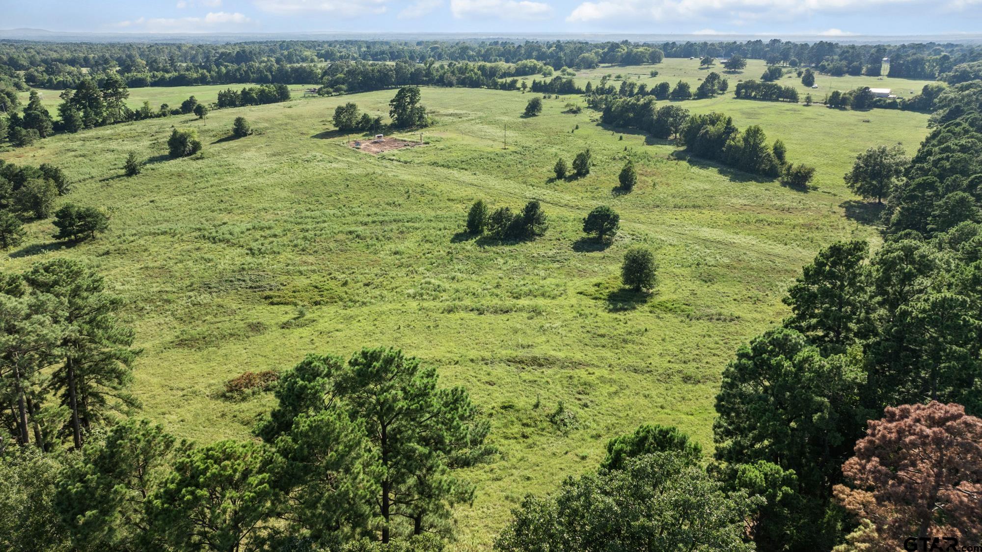 8800 Ginger Road Gilmer, TX 75644 - Photo 16 of 26