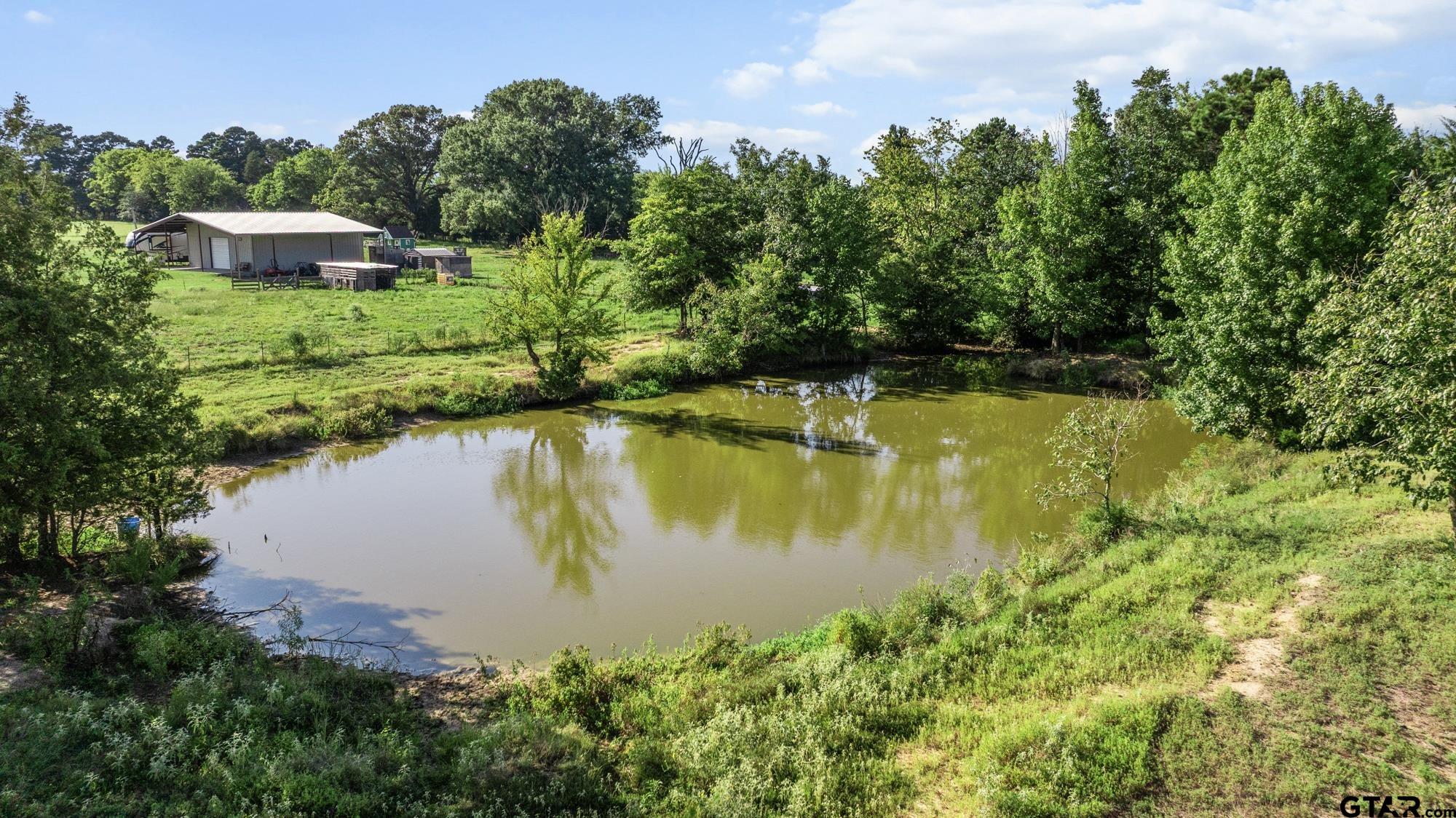 8800 Ginger Road Gilmer, TX 75644 - Photo 19 of 26