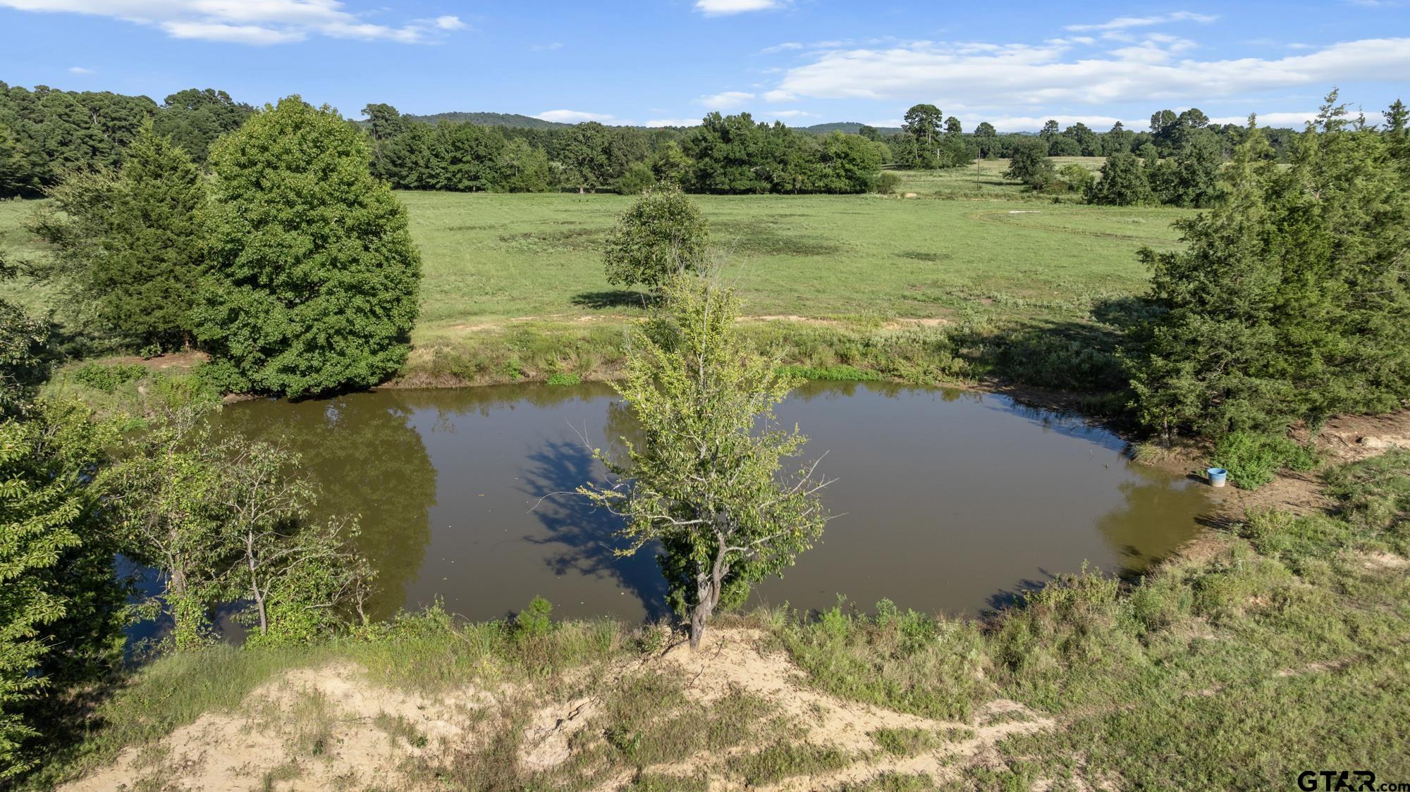 8800 Ginger Road Gilmer, TX 75644 - Photo 23 of 26