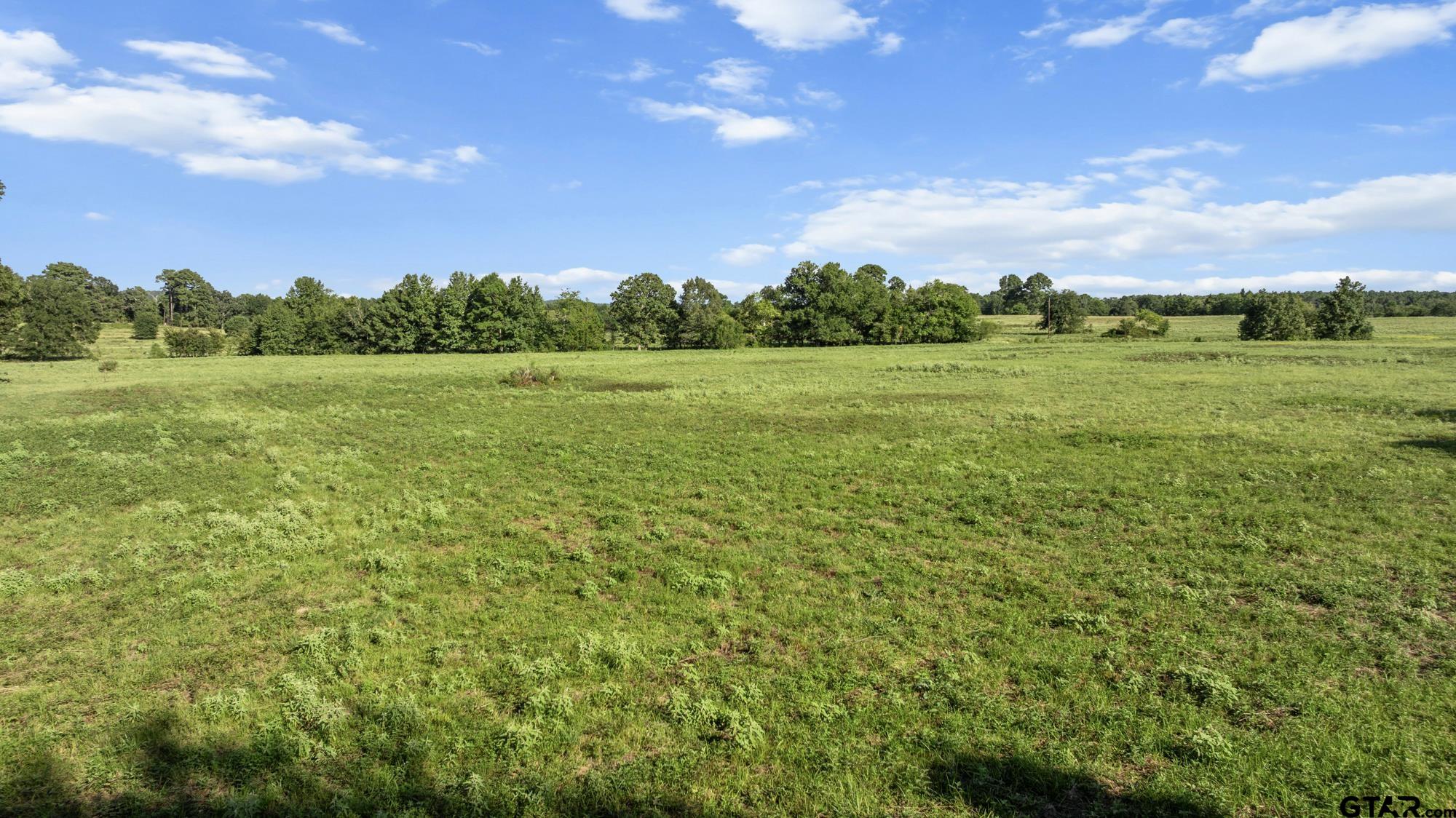 8800 Ginger Road Gilmer, TX 75644 - Photo 24 of 26