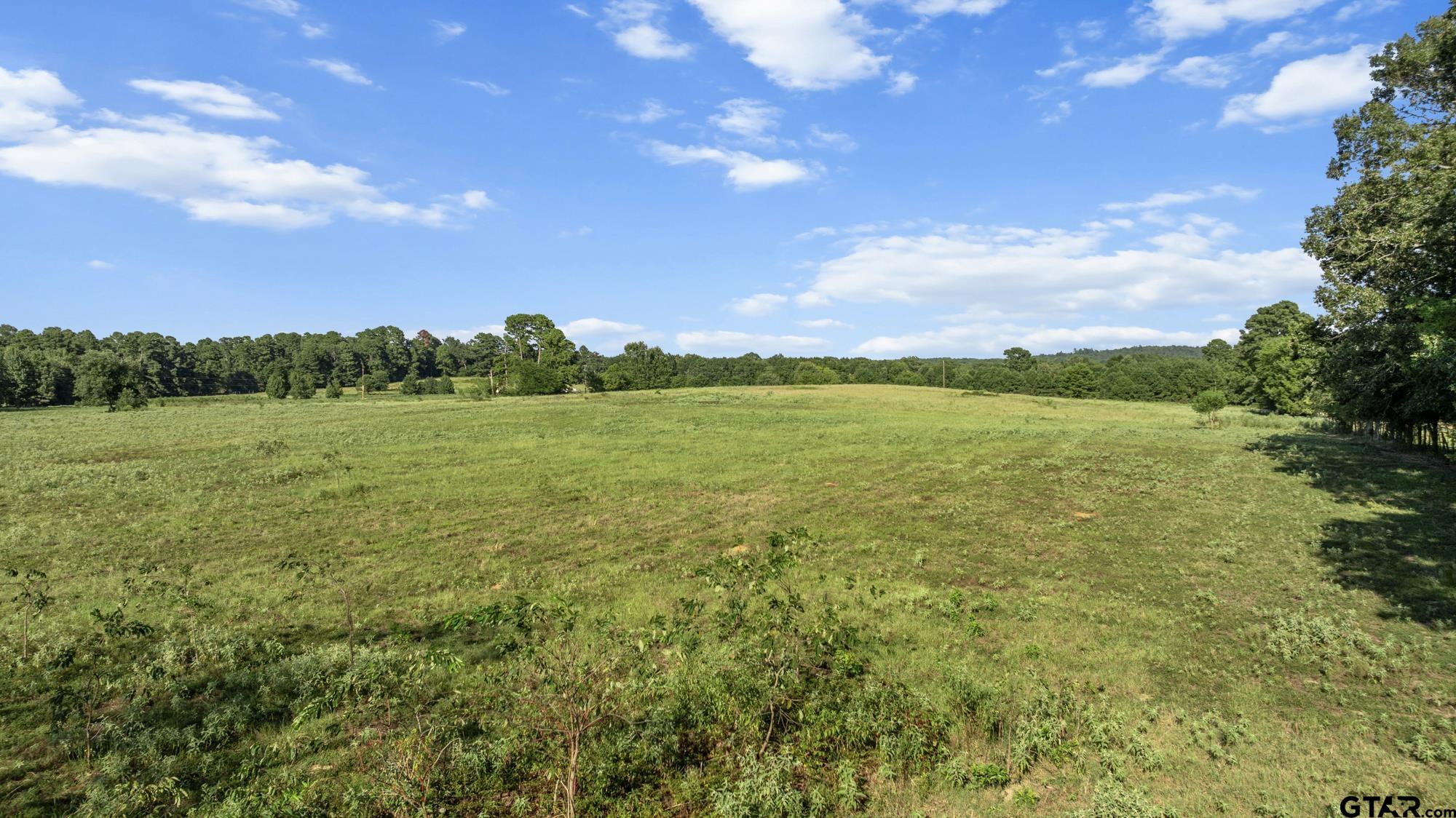 8800 Ginger Road Gilmer, TX 75644 - Photo 25 of 26