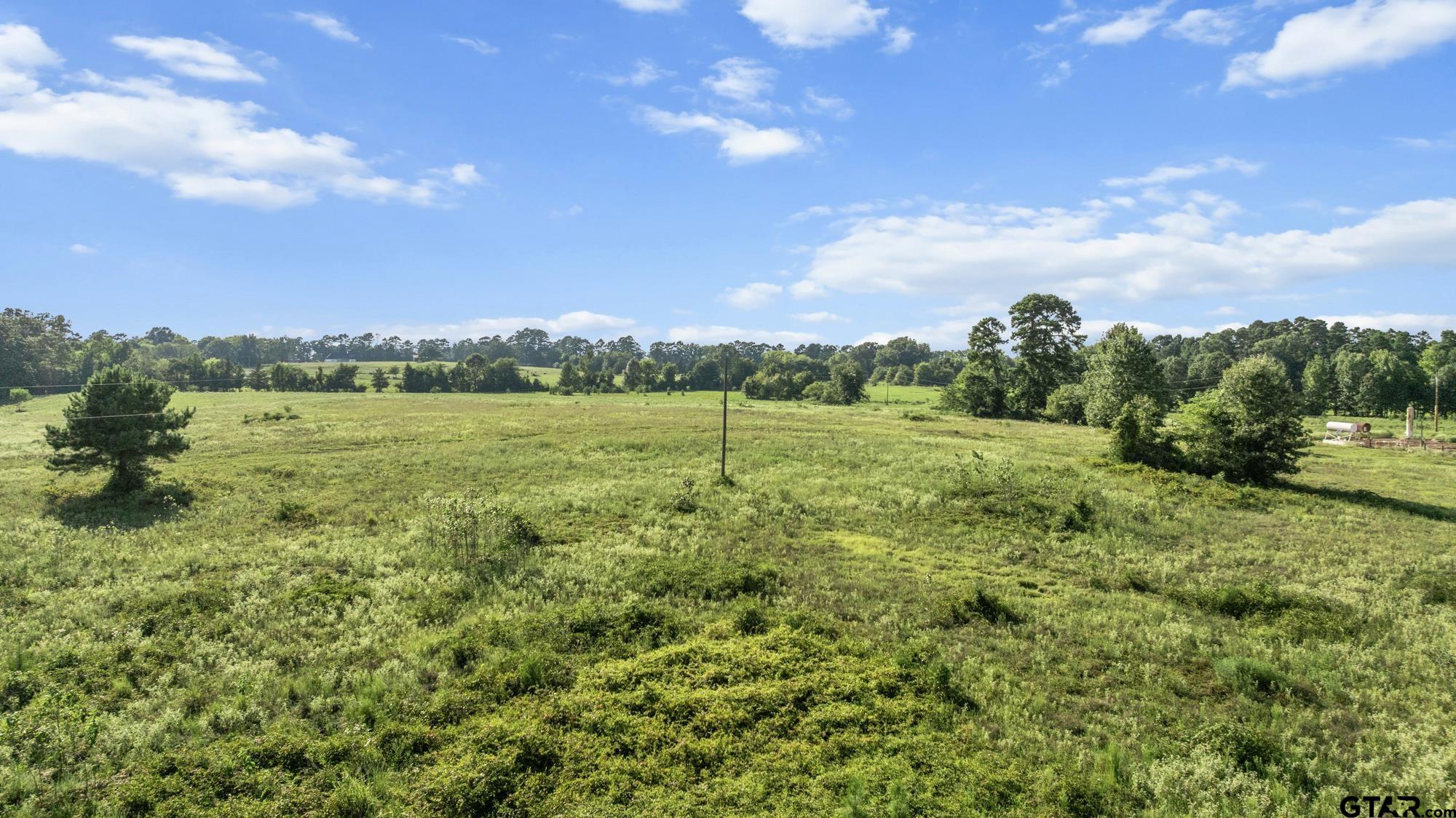 8800 Ginger Road Gilmer, TX 75644 - Photo 26 of 26