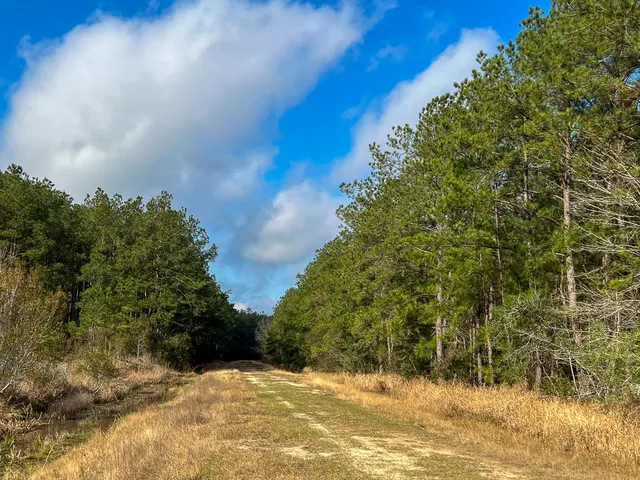 $1,613,700 | 0 Highway 12/ Linscomb Road, Vidor, TX 77662